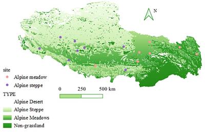 Spatial distribution and drivers of arbuscular mycorrhizal fungi on the Tibetan Plateau